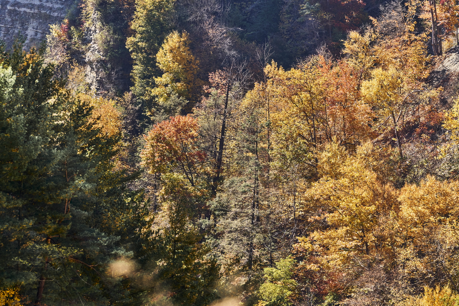 Indian Summer, Letchworth State Park, NY, USA